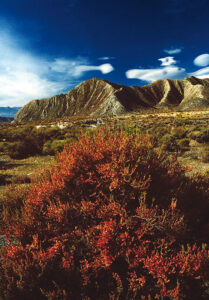 El Desierto de Tabernas es una sorprendente experiencia visual. 