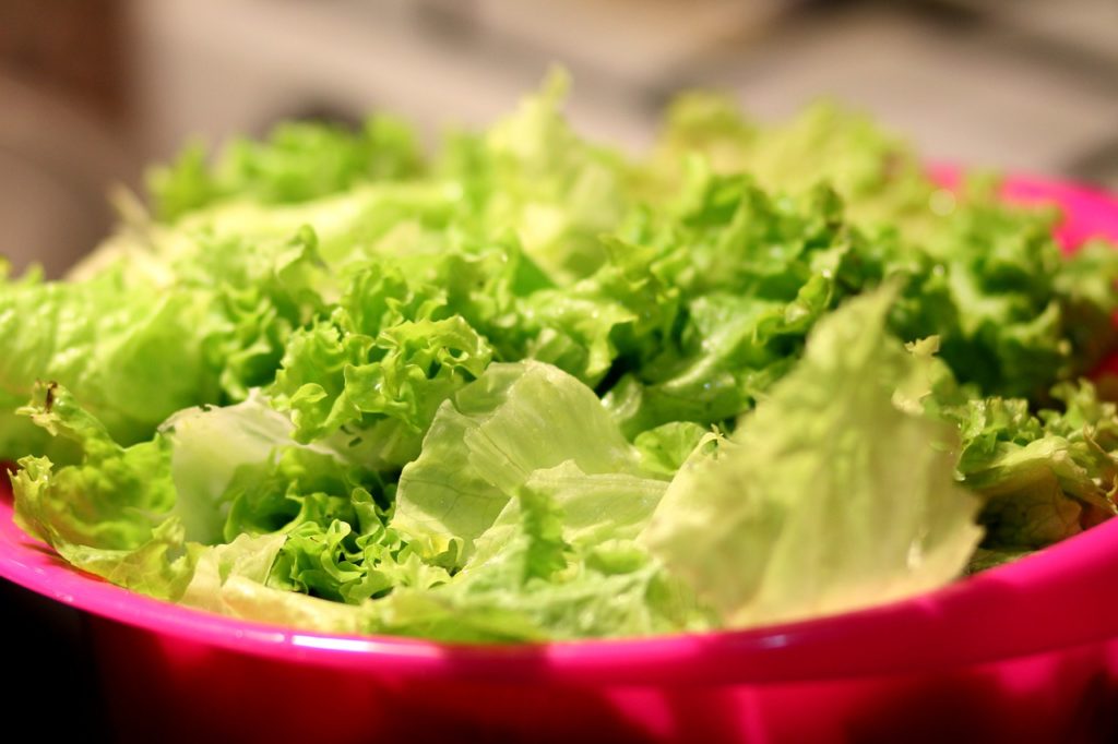 Ensalada de lechuga. Verdura y hortalizas