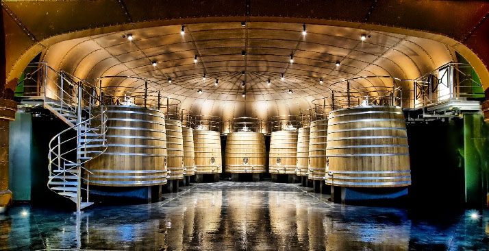 Ocho siglos de vino en el Museo Vivanco
