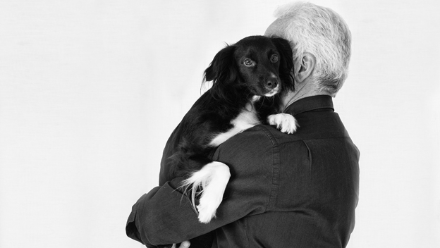 Canguros temporales para tu perro cerca de tu casa