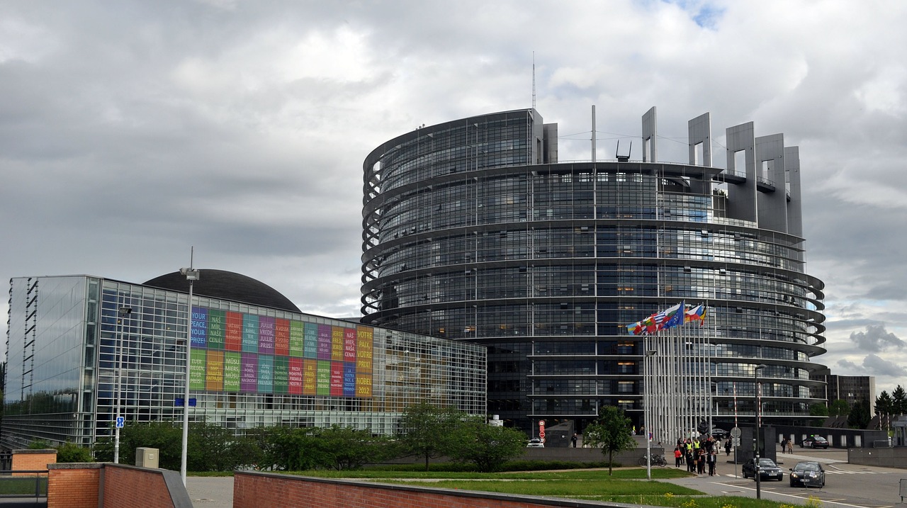 Elecciones parlamento europeo 2019 Plataforma AGE