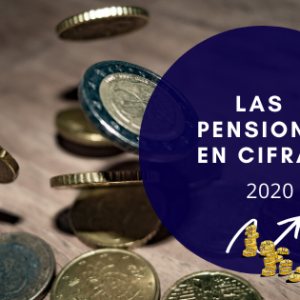 revalorización y mantenimiento de las pensiones y prestaciones públicas del sistema de Seguridad Social.