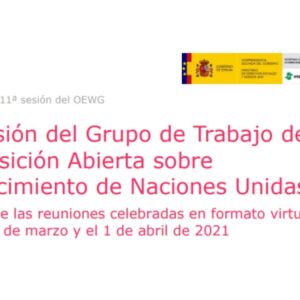 Envejecimiento Grupo de Trabajo de Naciones UNIDAS