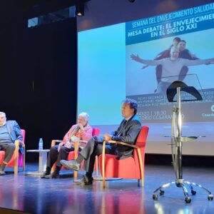 Inmaculada ruiz martín durante la mesa redonda