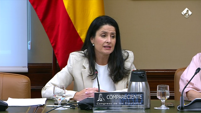 Verdugo Moreno, María Teresa (Candidata propuesta por el Gobierno a ocupar la Presidencia de la Autoridad Independiente para la Igualdad de Trato y la No Discriminación, A.A.I.)