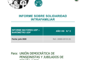 Portada informe UDP sobre solidaridad intrafamiliar